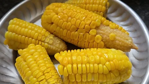 Sweet yellow corn on the cob provides healthy carbs and essential minerals. Simp Stock Footage 337349255
