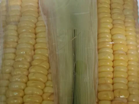 Sweet Yellow Corn Packed in Clear Plastic Wrap Stock Photos
