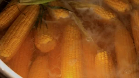 Sweetcorn boiled in water Stock-Footage 268483388