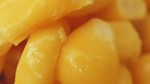 Sweetcorn corn kernels macro close up presentation slowly rotating stock fo.. 库存影片 344697734