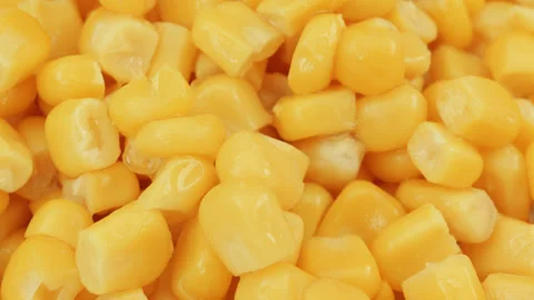 Sweetcorn corn kernels macro close up presentation slowly rotating stock fo.. Stock Footage 344698092
