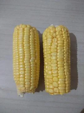 Sweetcorn Stock Photos