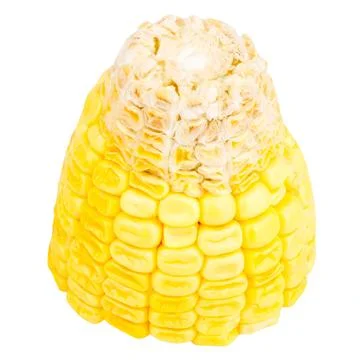 Sweetcorn slice isolated on white background Stock Photos
