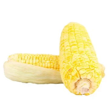 Sweetcorn slice isolated on white background Stock Photos