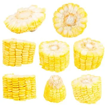 Sweetcorn slice isolated on white background Stock Photos