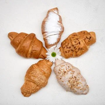 Sweets and flower. Different types of croissants and white gerbera in center Stock Photos
