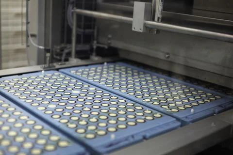 Sweets factory. Sweets production process. Conveyor belt with sweets on it. Stock Photos