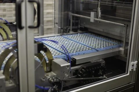Sweets factory. Sweets production process. Conveyor belt with sweets on it. 스톡 사진