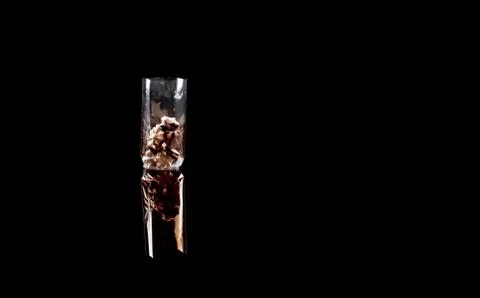 Sweets in plastic food packaging with reflection and copy space Stock Photos