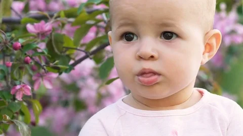 Sweety play and clapping hands outdoor slow motion close up Stock Footage 77895210