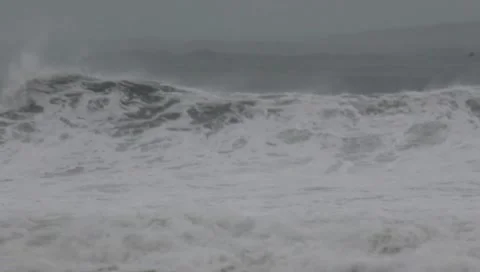 Swell Stock Footage 297063542