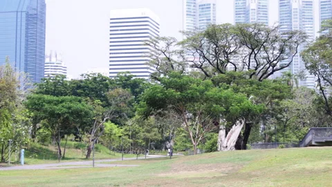 Sweltering day in an asian park. Stock Footage 306725674