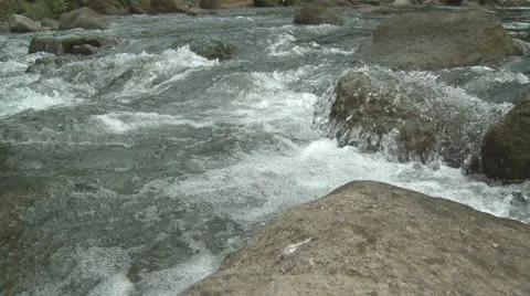 Swft water moving down small stream Stock Footage 25510488