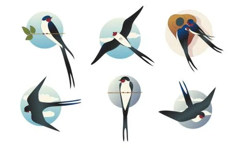 Swift Barn Swallow with Spread Wings in Flying Pose and Sitting on Tree Branch Illustrazione stock