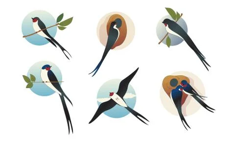 Swift Barn Swallow with Spread Wings in Flying Pose and Sitting on Tree Branch Illustrazione stock