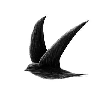Swift bird Stock Illustration