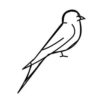Swift bird line icon vector illustration Stock Illustration