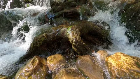 A swift current of water flows between stones and tree roots Stock Footage 158146756