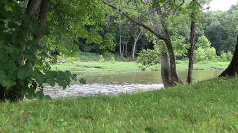 A swift flowing river Video stock 48200059