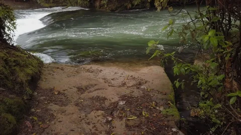 Swift flowing river through native forest, Rotorua, New Zealand Stock-Footage 118292365