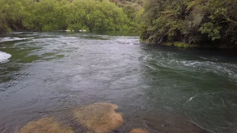 Swift flowing river through native forest, Rotorua, New Zealand Video stock 118292748