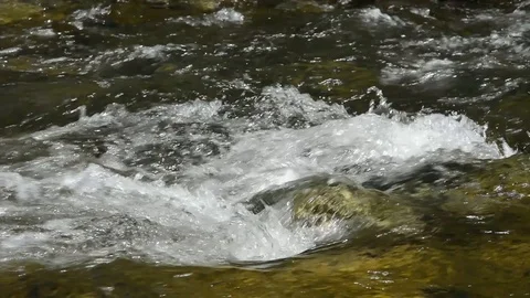 Swift-flowing riwer Video stock 103451332