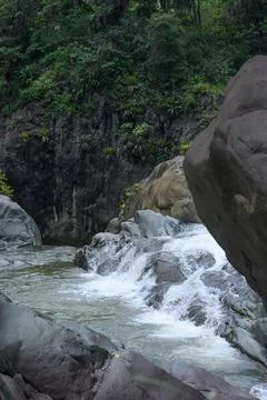 A swift mountain river, the beginning of a waterfall among rocks and jungle Foto stock