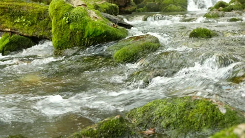 A swift mountain river flows from a small waterfall Stock Footage 164258039