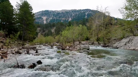 A swift mountain river, flying a drone over the water, cloudy weather 4k Video stock 213982111