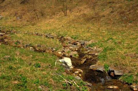 The swift mountain stream flows into the valley. Stock Photos