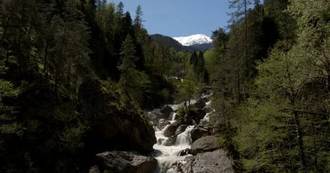A swift mountain stream rushing through a ravine in a subtropical forest.  Stock Footage 71722581