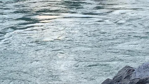 Swift moving stream 스톡 동영상 113861937