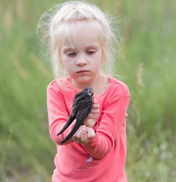 Swift release Stock Photos