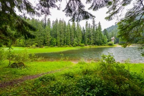 Swift river flow against the background of tall green trees and clear sky Stock Photos