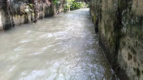 Swift river flow 스톡 동영상 241705101