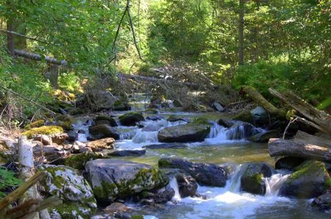 A swift river flowing down a waterfall from the mountains through the forest, Stock Photos