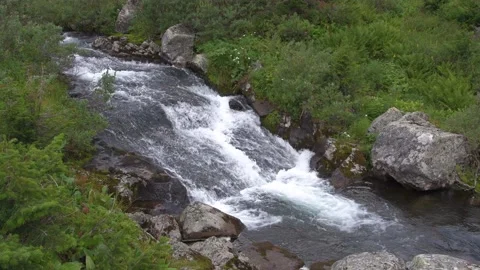 Swift river rushes over rocks. Water foams and boils. Stock Footage 147603731