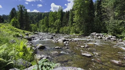 A swift stream of clean clear water flowing through stone boulders. Vidéo 247777280