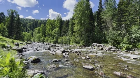 A swift stream of clean clear water flowing through stone boulders. Stock-Footage 247842942