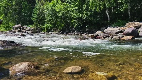 A swift stream of clean clear water flowing through stone boulders. Stock-Footage 248505371