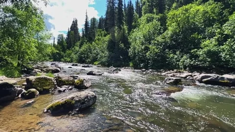 A swift stream of clean clear water flowing through stone boulders. Stock Footage 248505511