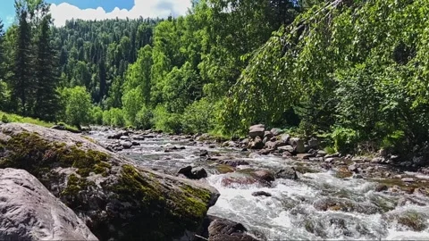 A swift stream of clean clear water flowing through stone boulders. Stock-Footage 250384717