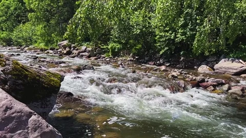 A swift stream of clean clear water flowing through stone boulders. Stock-Footage 250385520