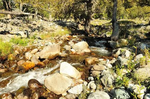 A swift stream of a mountain river flows down from the mountains through a su Stock Photos