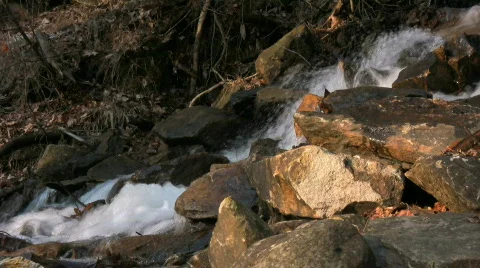 Swift Stream Profile Stock Footage 841318