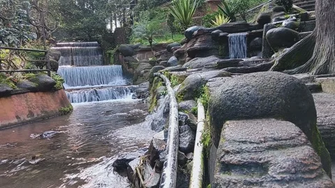 Swift water flow (6) Stock Footage 236346705