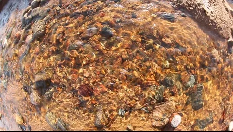 Swift waterflow in the creek Stock Footage 3857016