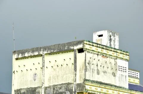 Swiftlet farming 写真素材