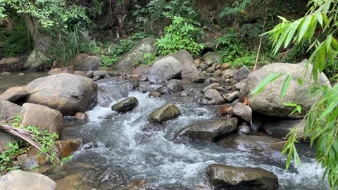 The swiftly flowing stream crashes against the rugged rocks Stock Footage 250516829