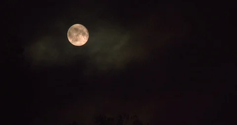 Swiftly flying clouds close and open the full moon and treetops under it. 스톡 동영상 117081297